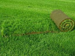 kachestvennaya-gazonnaya-trava-na-sajte-landshaft-design-kiev-ua-tolko-dlya-vas